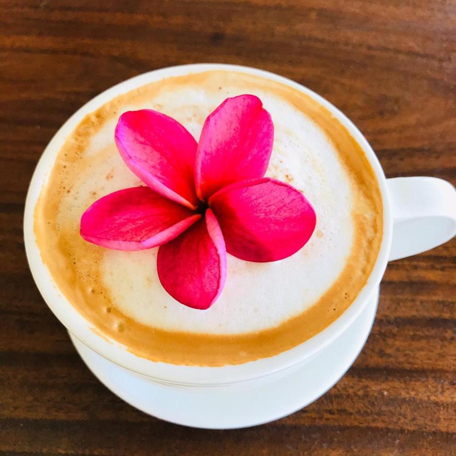 帕沃内斯Cafe De La Suerte别墅 外观 照片
