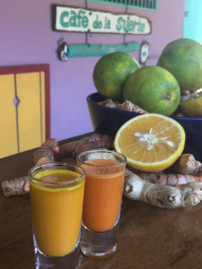 帕沃内斯Cafe De La Suerte别墅 外观 照片